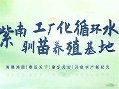 紫南工厂化循环水驯苗养殖基地